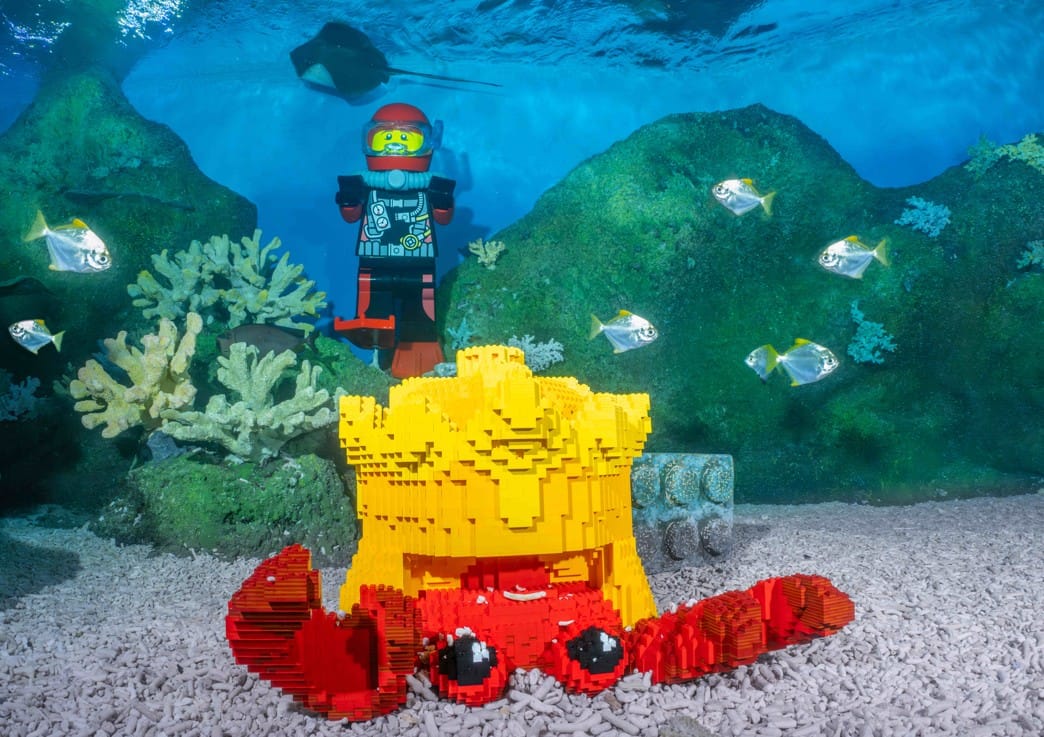 A large Lego 'king' crab