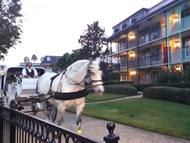 A twilight horse drawn carriage ride at Port Orleans French Quarter